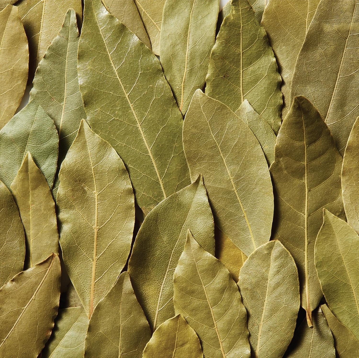 image:imageMcCormick Bay Leaves 012 Oz012 Ounce Pack of 1