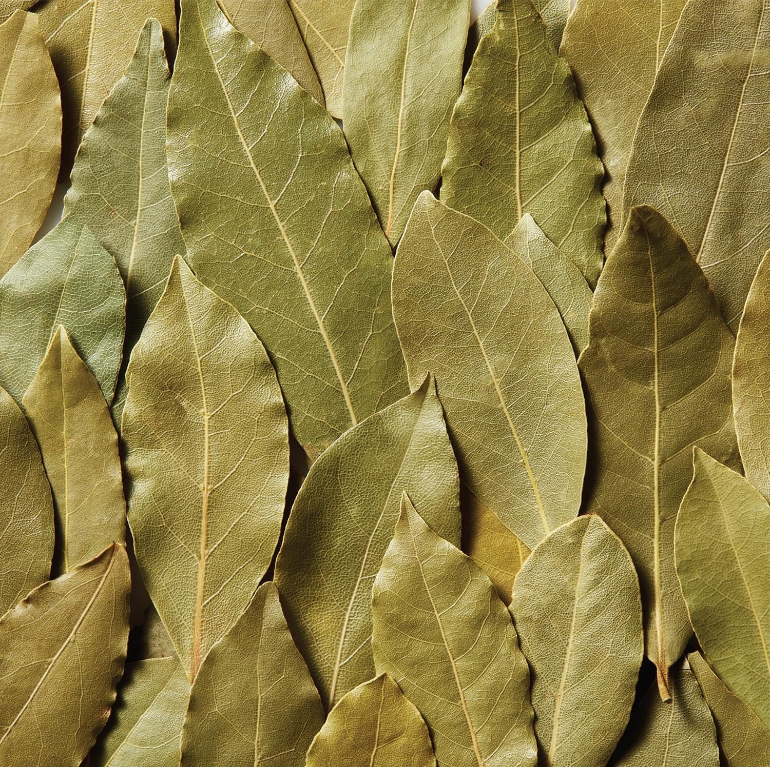 image:imageMcCormick Bay Leaves 012 oz Pack of 6012 Ounce Pack of 1