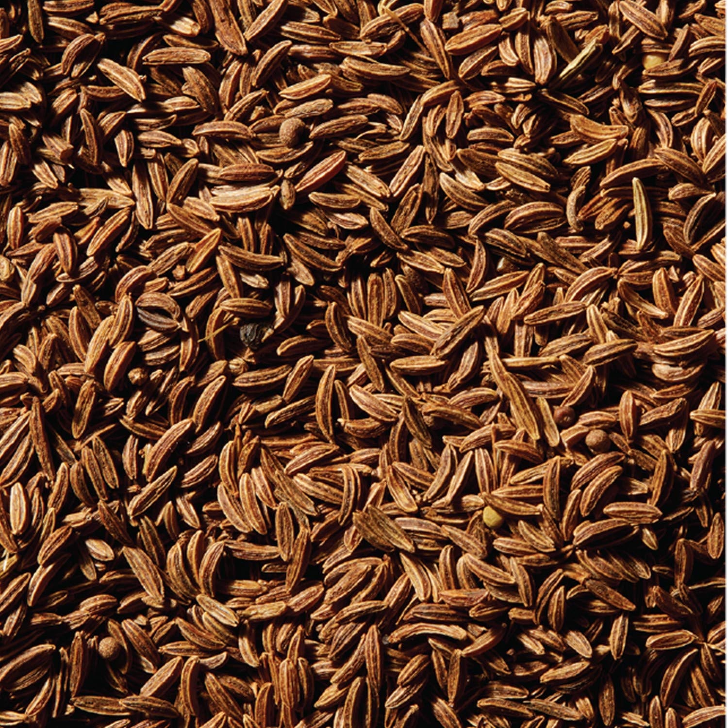 image:imageMcCormick Caraway Seed 09 oz Pack of 609 Ounce Pack of 1