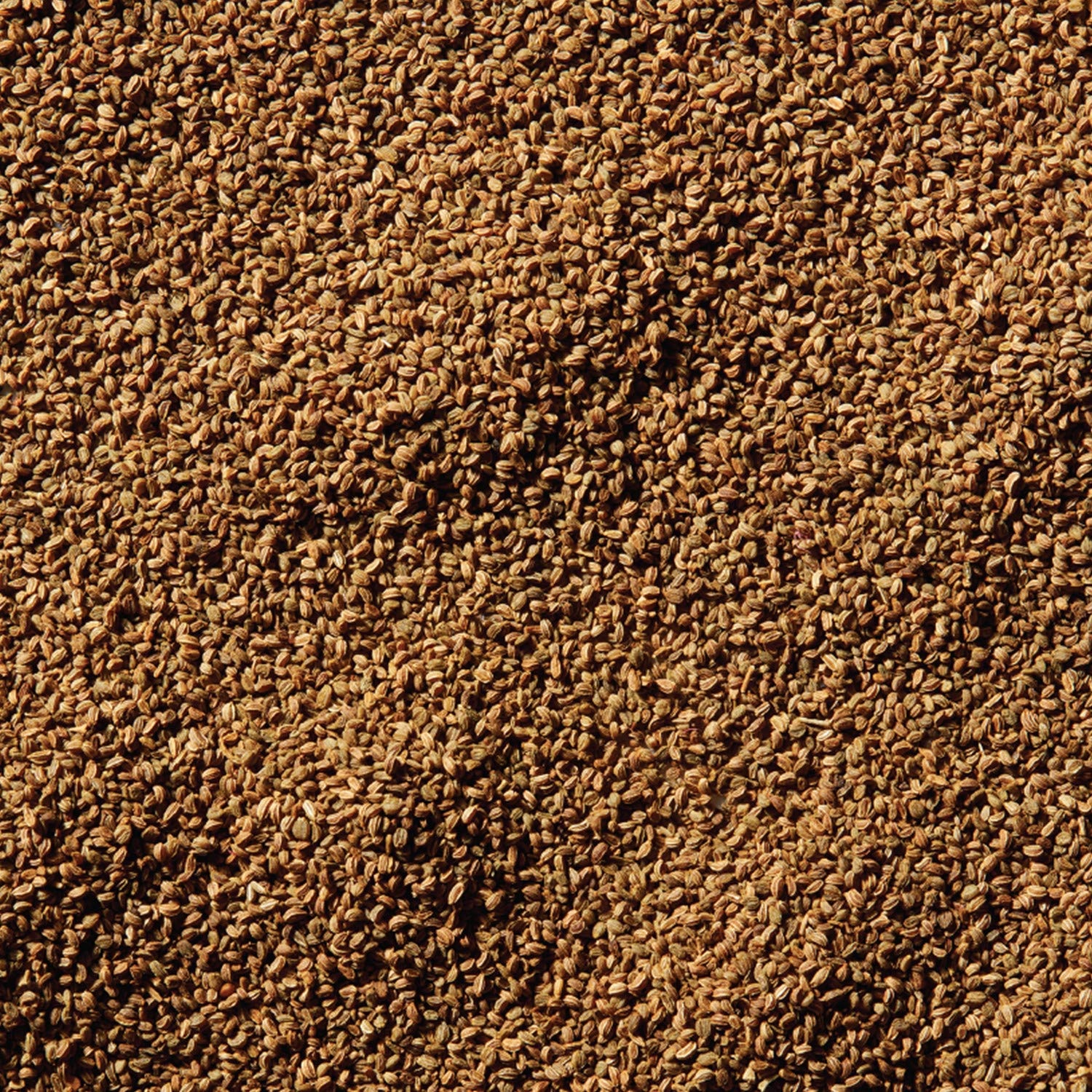 image:imageMcCormick Celery Seed 095 Oz