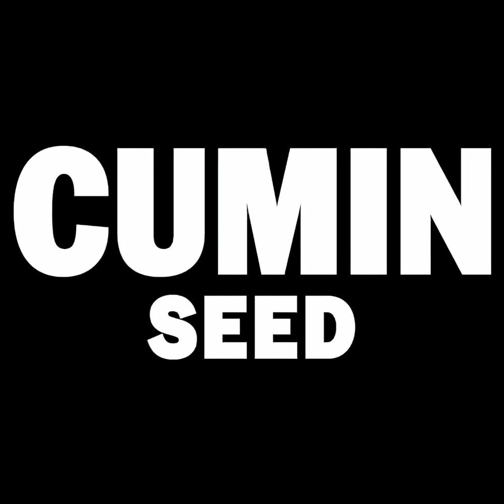 image:imageMcCormick Cumin Seed 095 oz Pack of 6095 Ounce Pack 0f 4