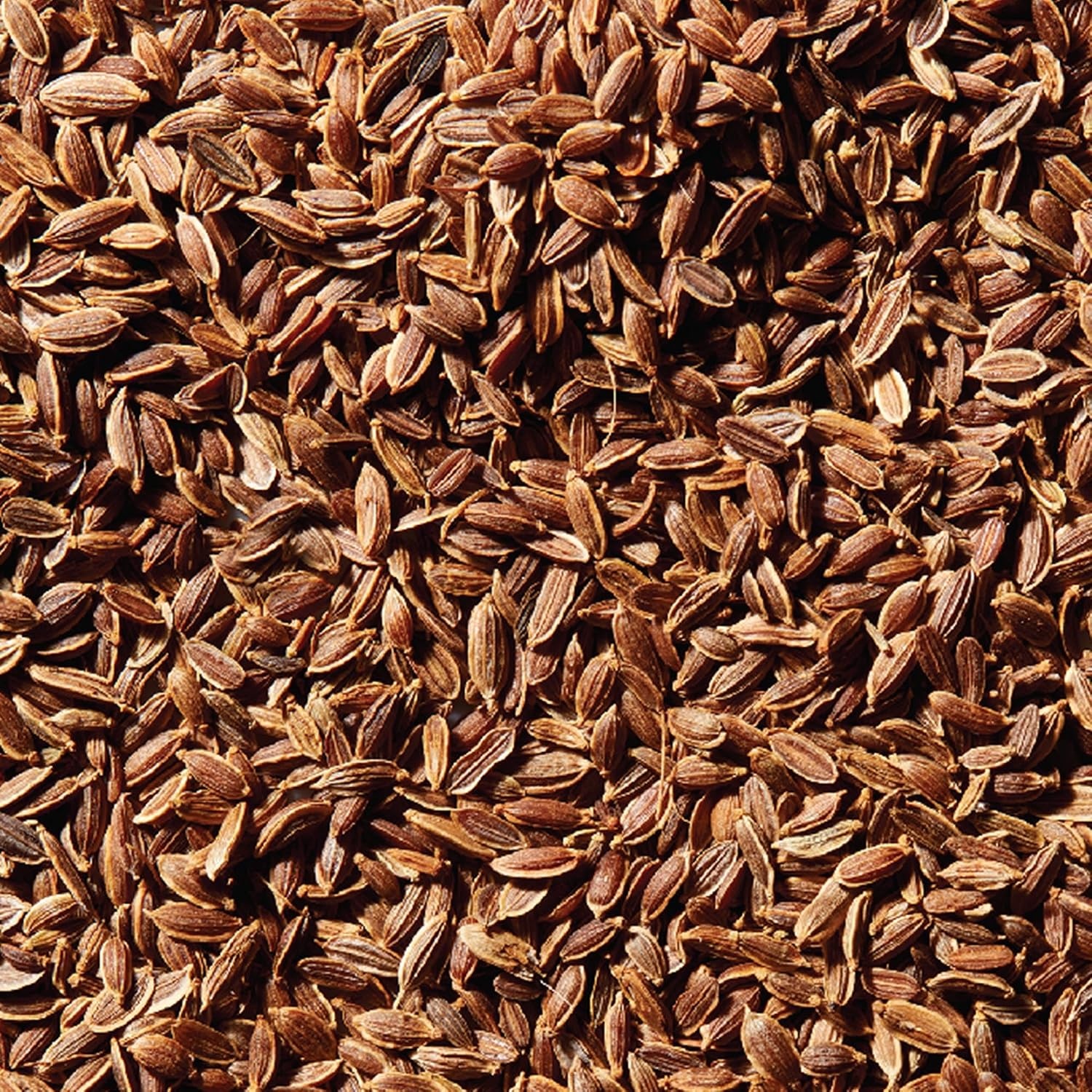 image:imageMcCormick Dill Seed 085 oz Pack of 6085 Oz