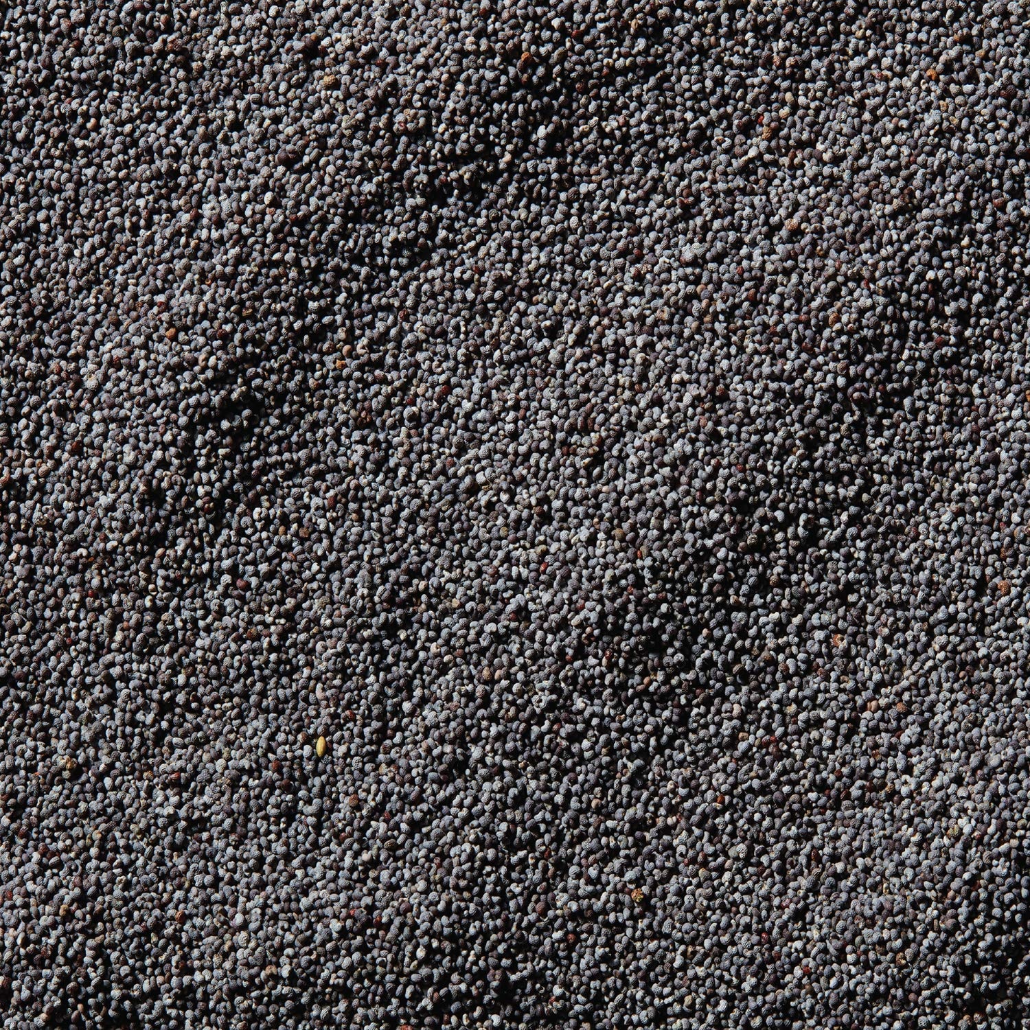 image:imageMcCormick Poppy Seed 125 oz Pack of 6125 Ounce Pack of 1