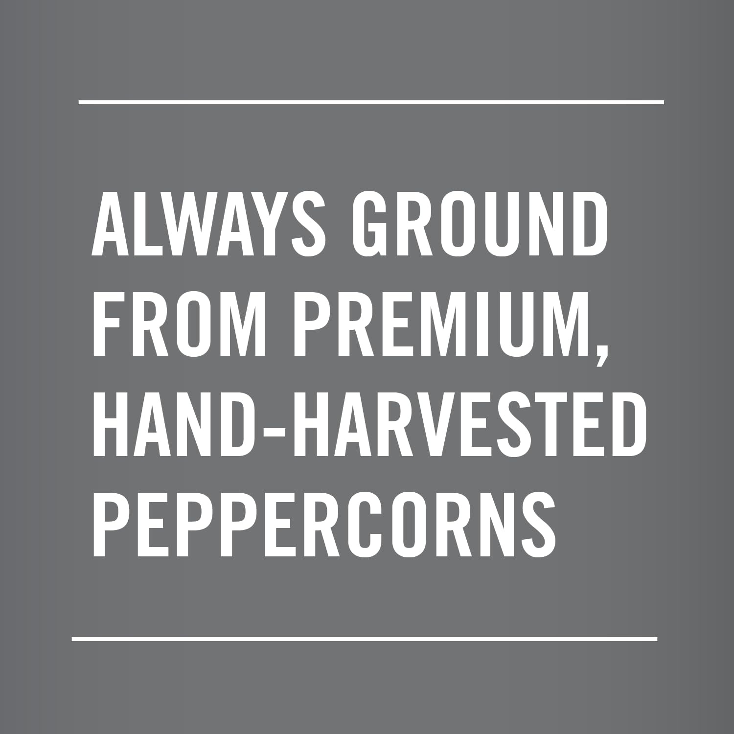 image:imageMcCormick Table Grind Black Pepper 16 oz