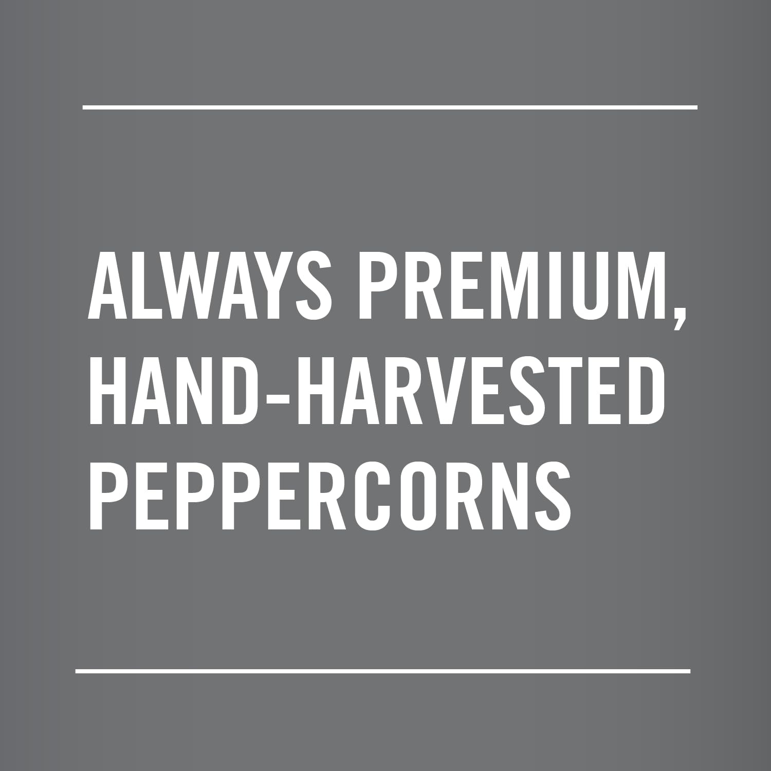 image:imageMcCormick Whole Black Pepper Made with Whole Peppercorns 175 oz175 Ounce Pack of 1