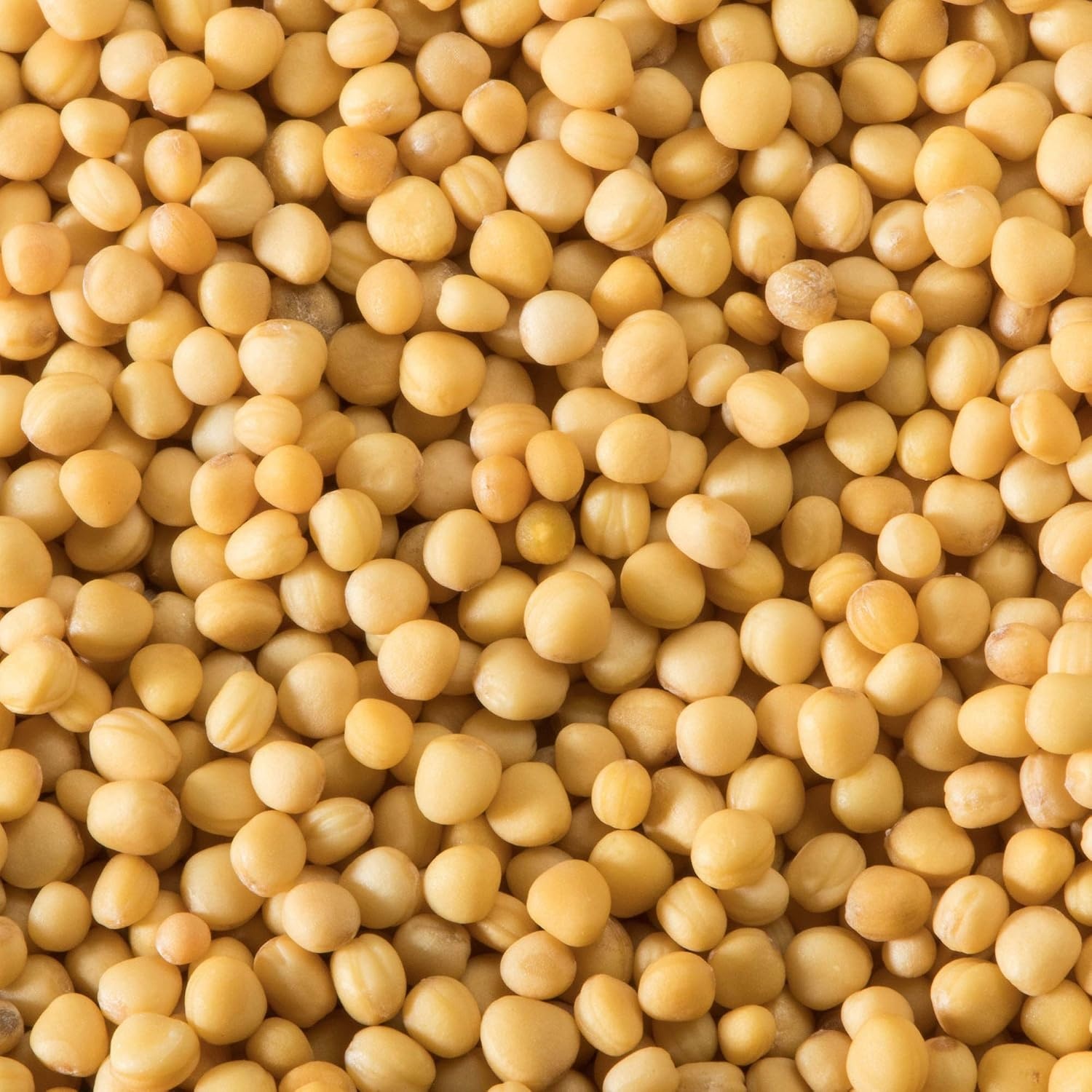 image:imageMcCormick Yellow Mustard Seed 14 oz14 Ounce Pack of 1